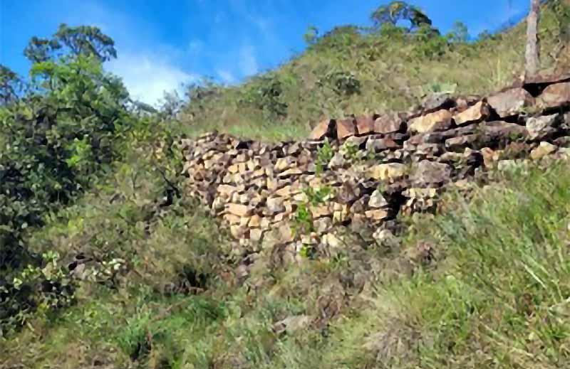 participe da caminhada da